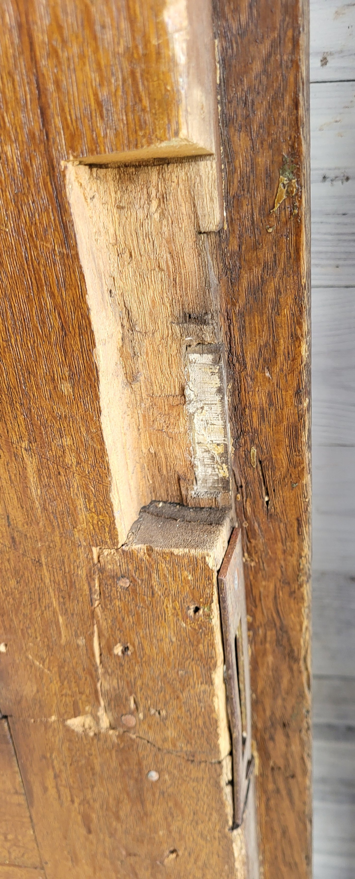 Eichentür um 1890/00 -  HD1/149